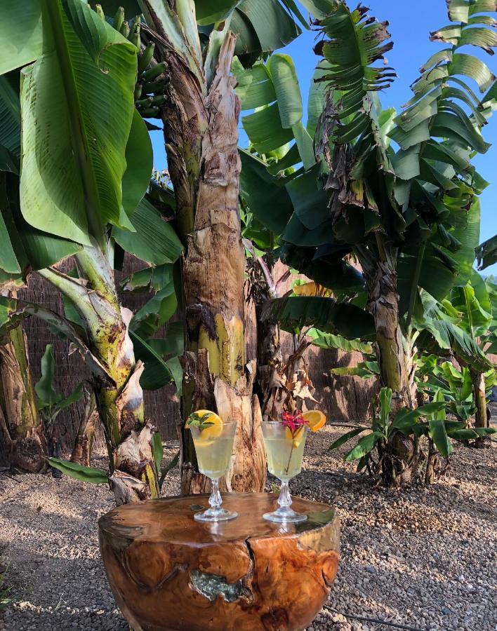Afrikan Krisant Tenerife, Casa Rural Ecologica Arafo Eksteriør billede