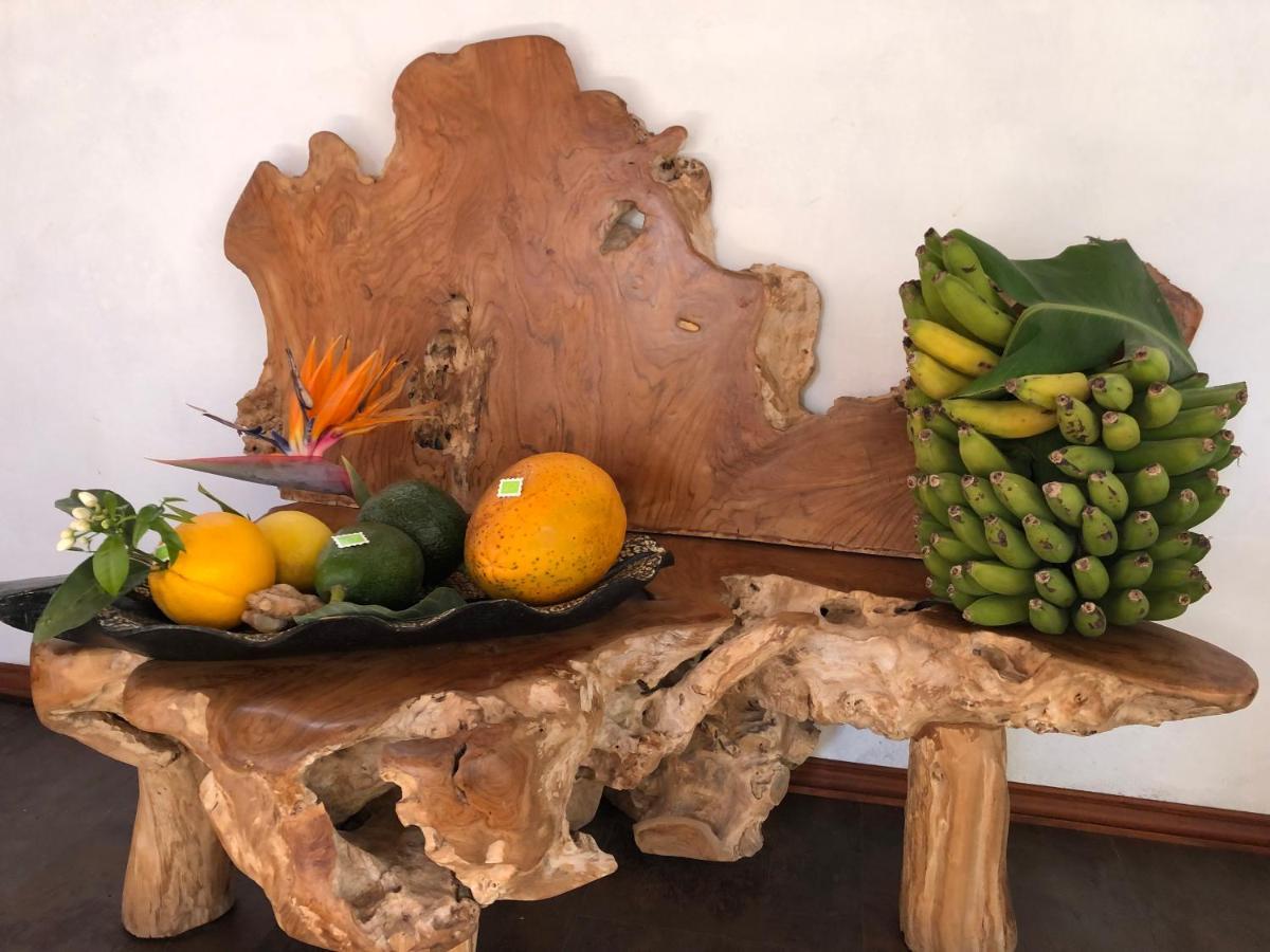 Afrikan Krisant Tenerife, Casa Rural Ecologica Arafo Eksteriør billede