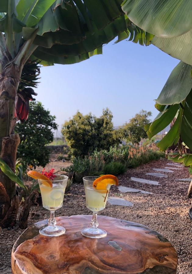 Afrikan Krisant Tenerife, Casa Rural Ecologica Arafo Eksteriør billede