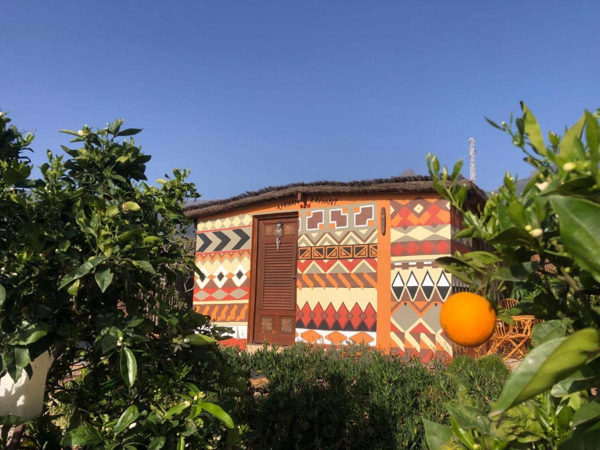 Afrikan Krisant Tenerife, Casa Rural Ecologica Arafo Eksteriør billede