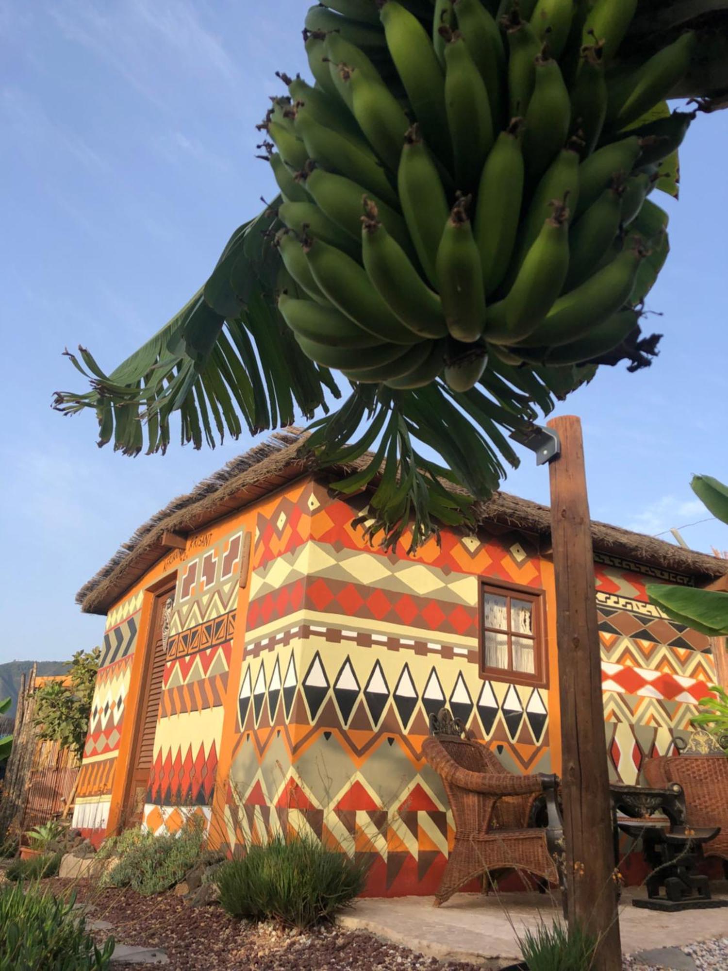 Afrikan Krisant Tenerife, Casa Rural Ecologica Arafo Eksteriør billede