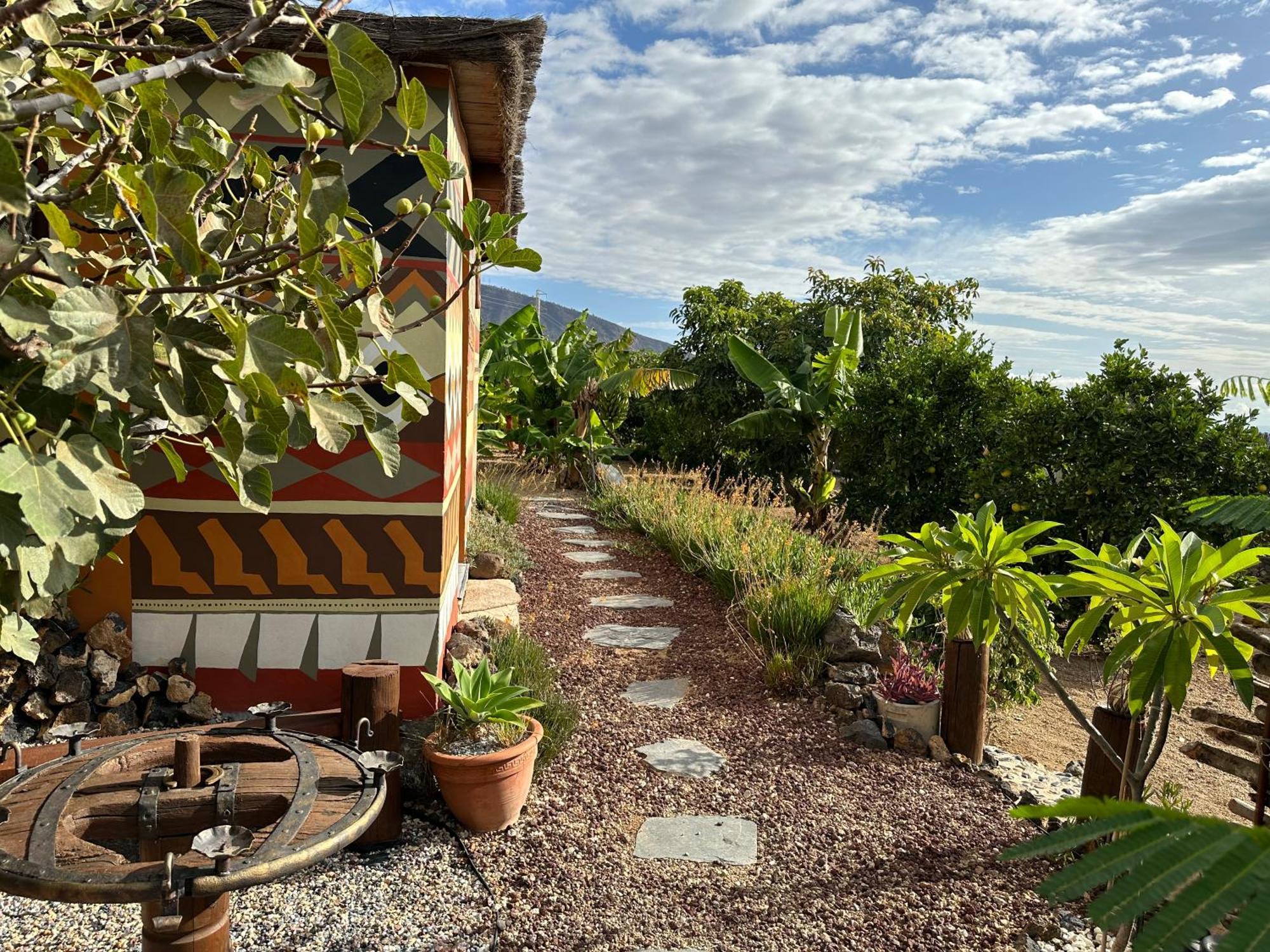 Afrikan Krisant Tenerife, Casa Rural Ecologica Arafo Eksteriør billede